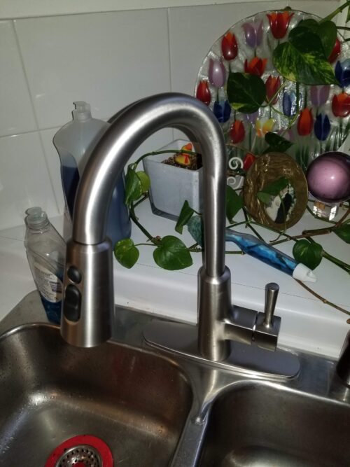 Kitchen Faucet Replacement